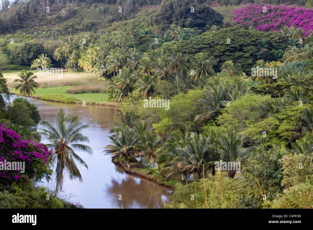 View at National Tropical Botanical Garden.Kauai, Hawaii Stock Photo