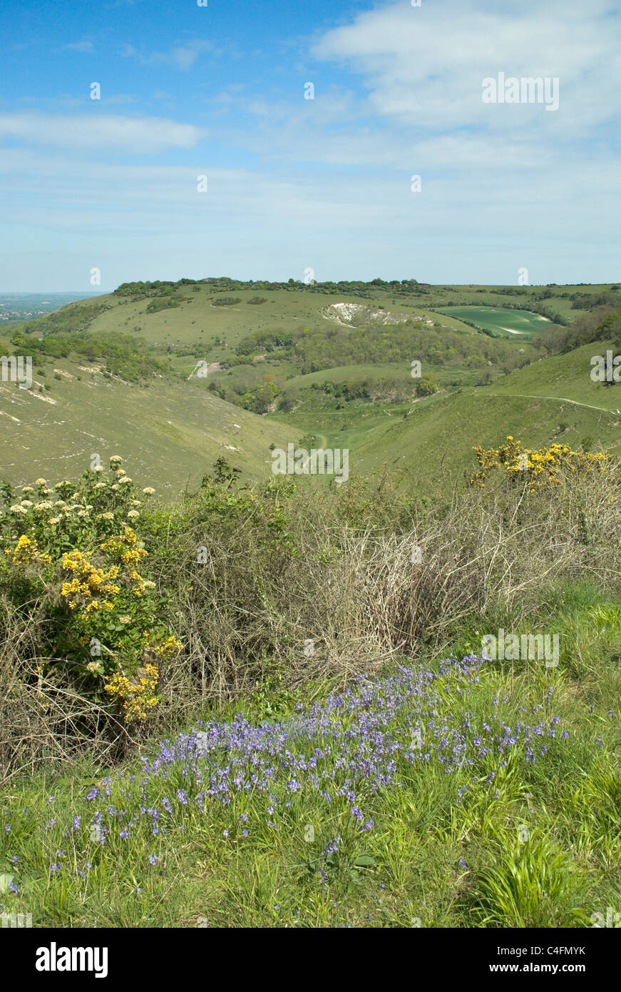 The Devil's Dyke in the South Downs National Park in southern England ...