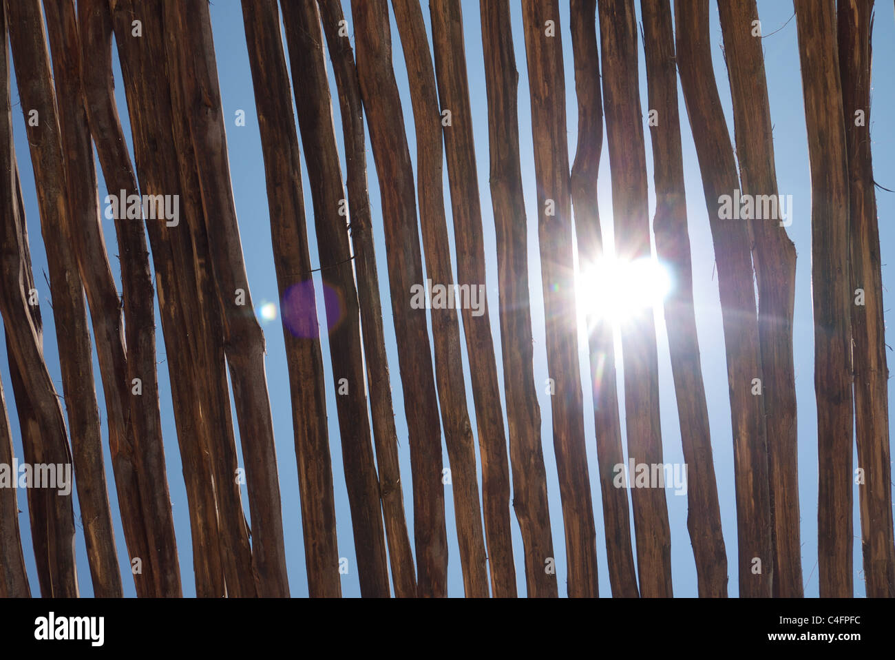 looking up at sun through palapa Stock Photo