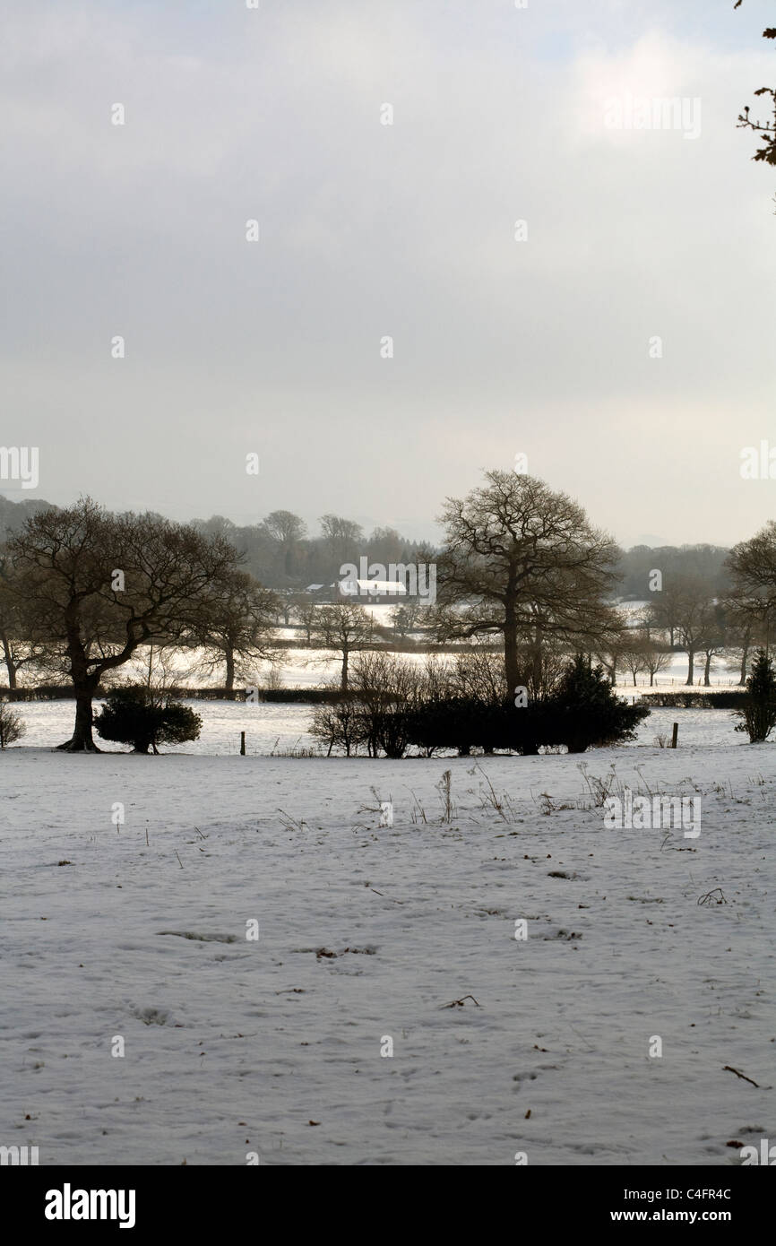 Snow covered fields hedges and trees winter by a footpath Alderley Edge