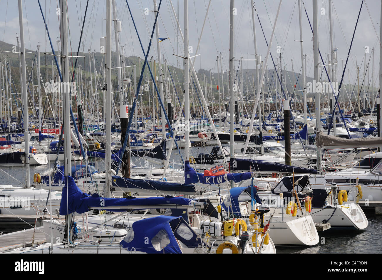 Yachts moored in Largs Yacht Haven, Ayrshire and Arran, Scotland Stock Photo