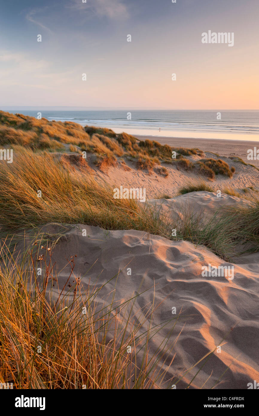 Marram grass on the sand dunes of Braunton Burrows, looking towards Saunton Sands beach, Devon, England. Summer (June) 2011. Stock Photo