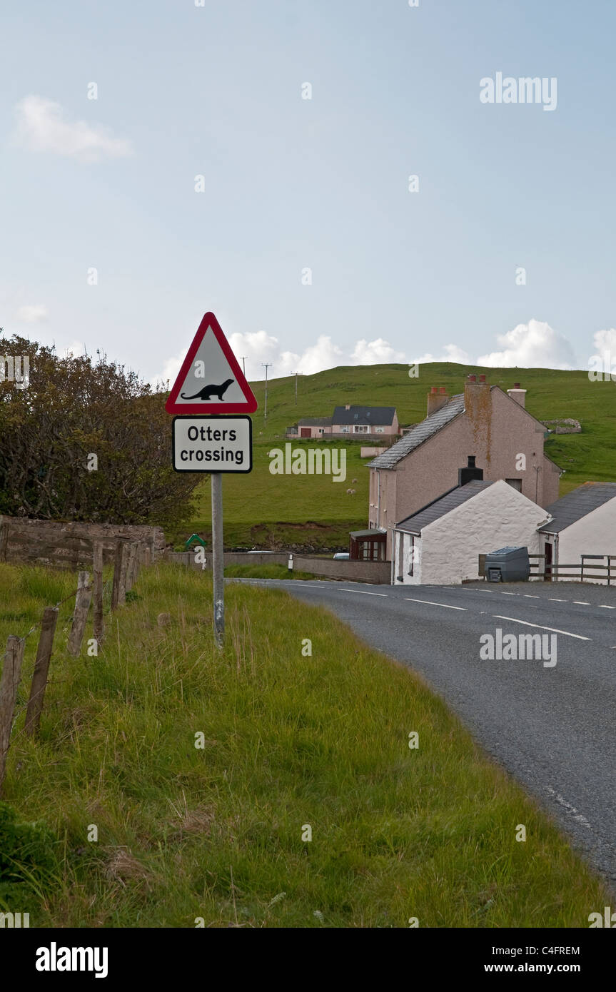 Otter (Lutra lutra) crossing sign on road, Shetland, Scotland, UK Stock Photo