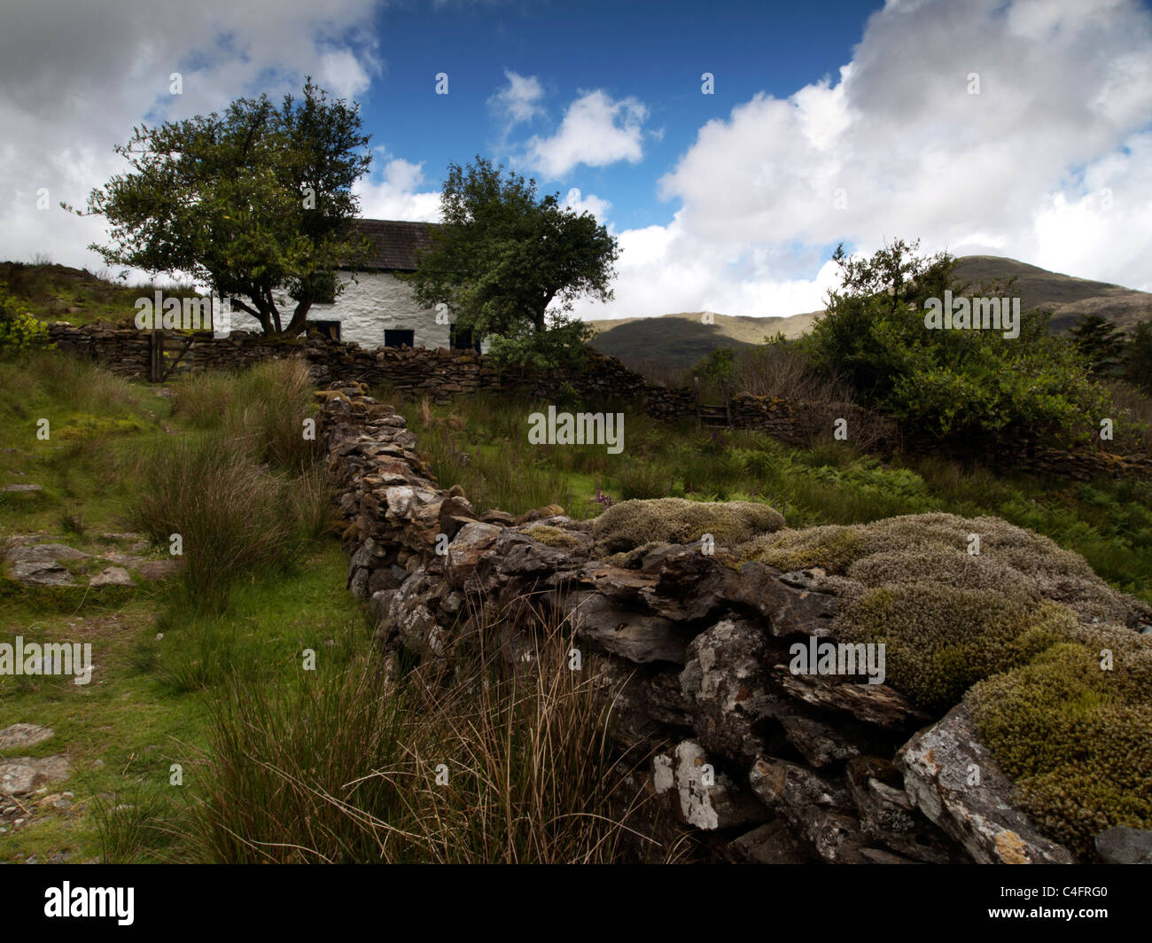 Remote cottage in Snowdonia, Wales, UK Stock Photo