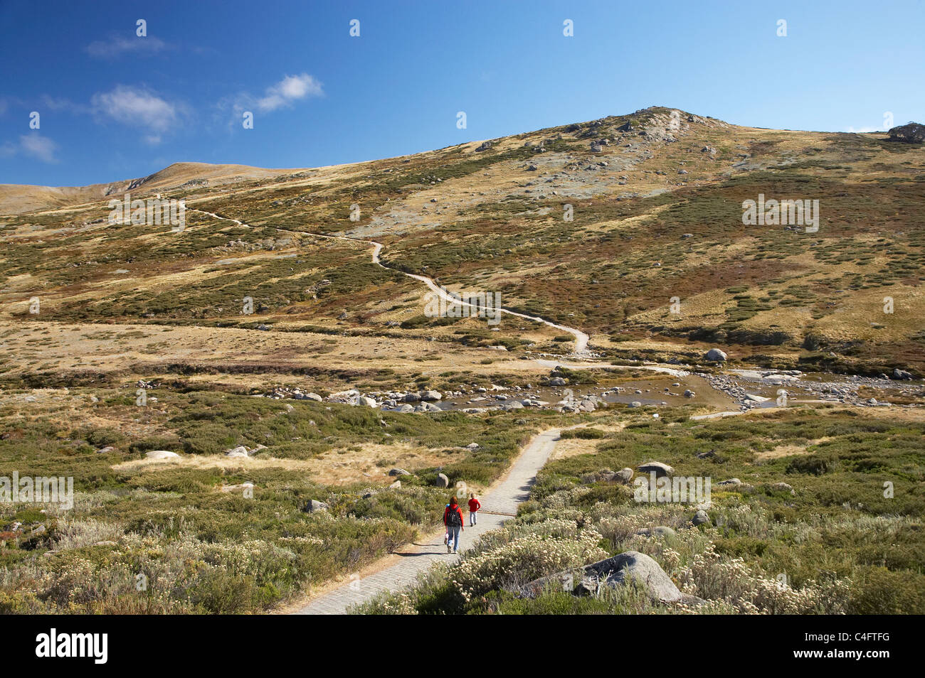 Walkers on the Main Range Track at Charlotte Pass, Kosciuszko National ...