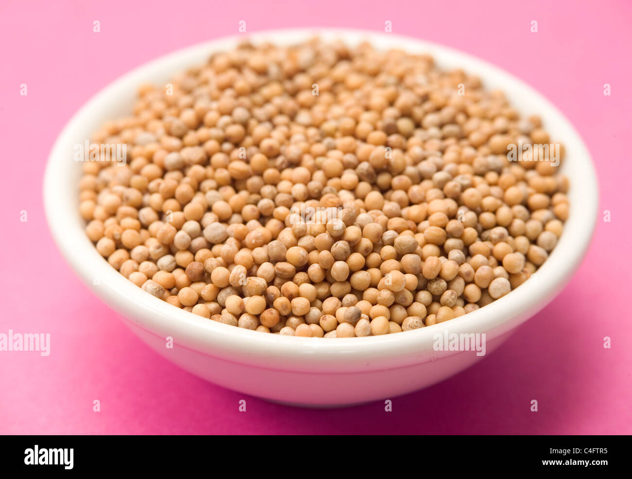 mustard seeds in small bowl on a pink background Stock Photo