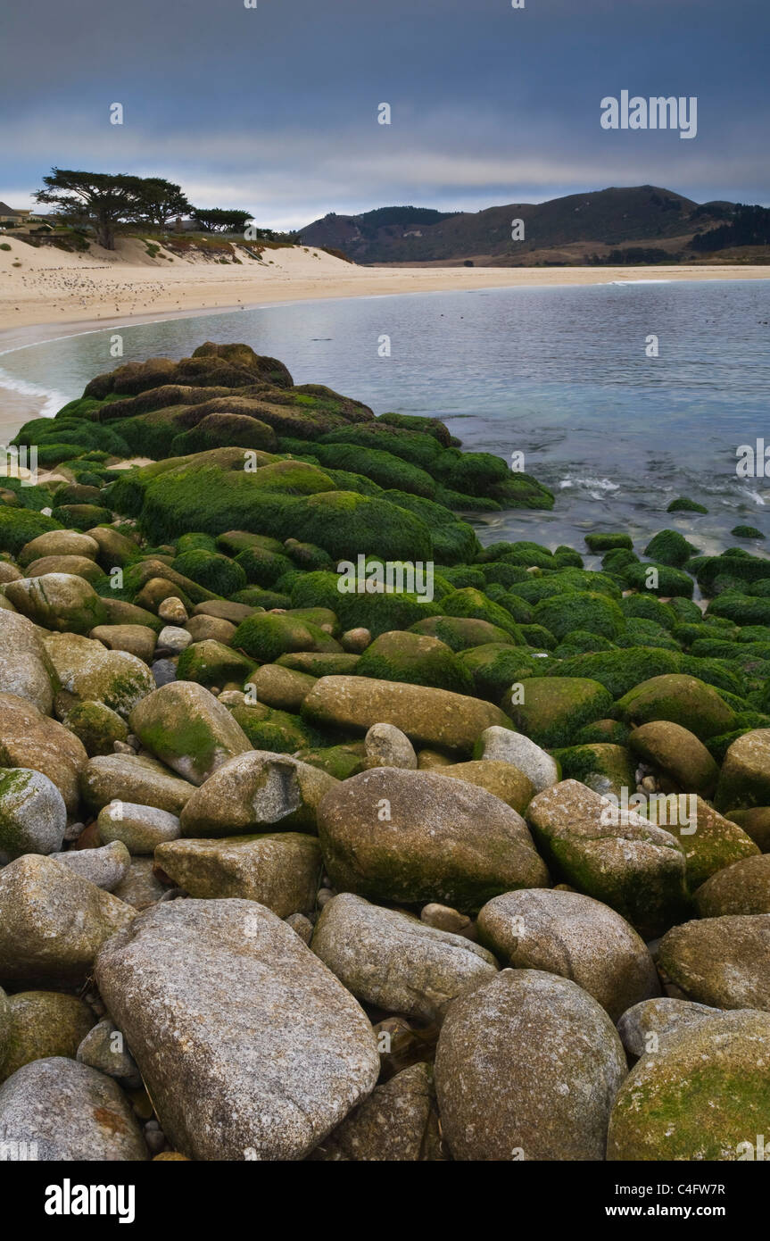 Algae covered rocks along the shoreline at Carmel River State Beach, Monterey Peninsula, California Stock Photo