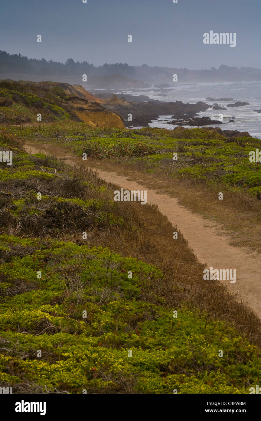 A0808b hires stock photography and images Alamy