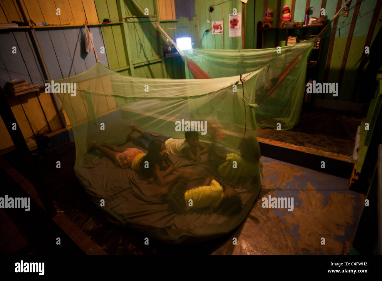Malaria Net Amazon : Malaria in the Amazon – BVBZ