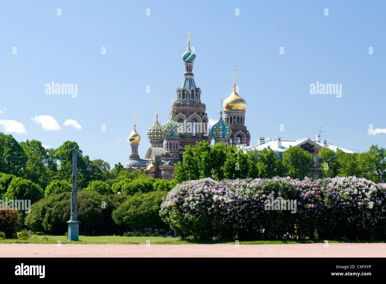 Russia St Petersburg Field of Mars war memorial park with Church on the Spilled Blood or Resurrection in background blue sky Stock Photo