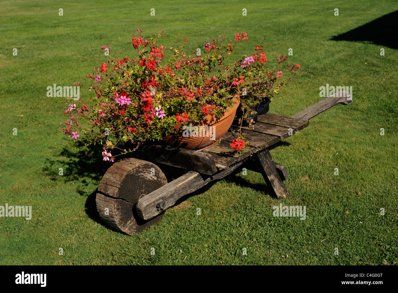 Italy, Tuscany, Val d'Orcia, Agriturismo Poggio Covili, wooden wheelbarrow with flowers Stock Photo
