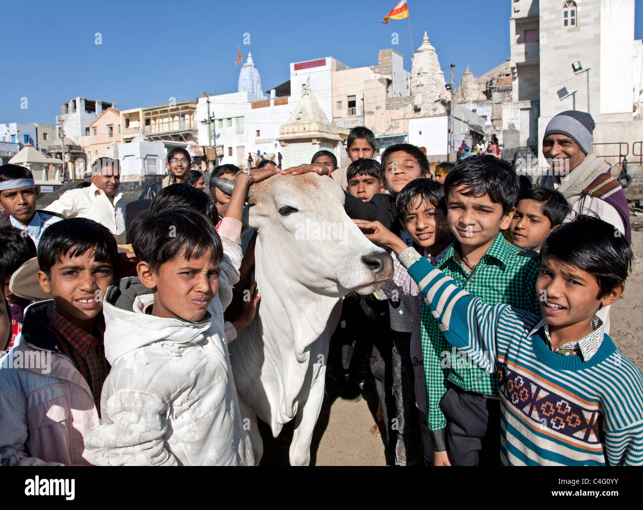 Kids with holy cow. Dwarka. Gujarat. India Stock Photo