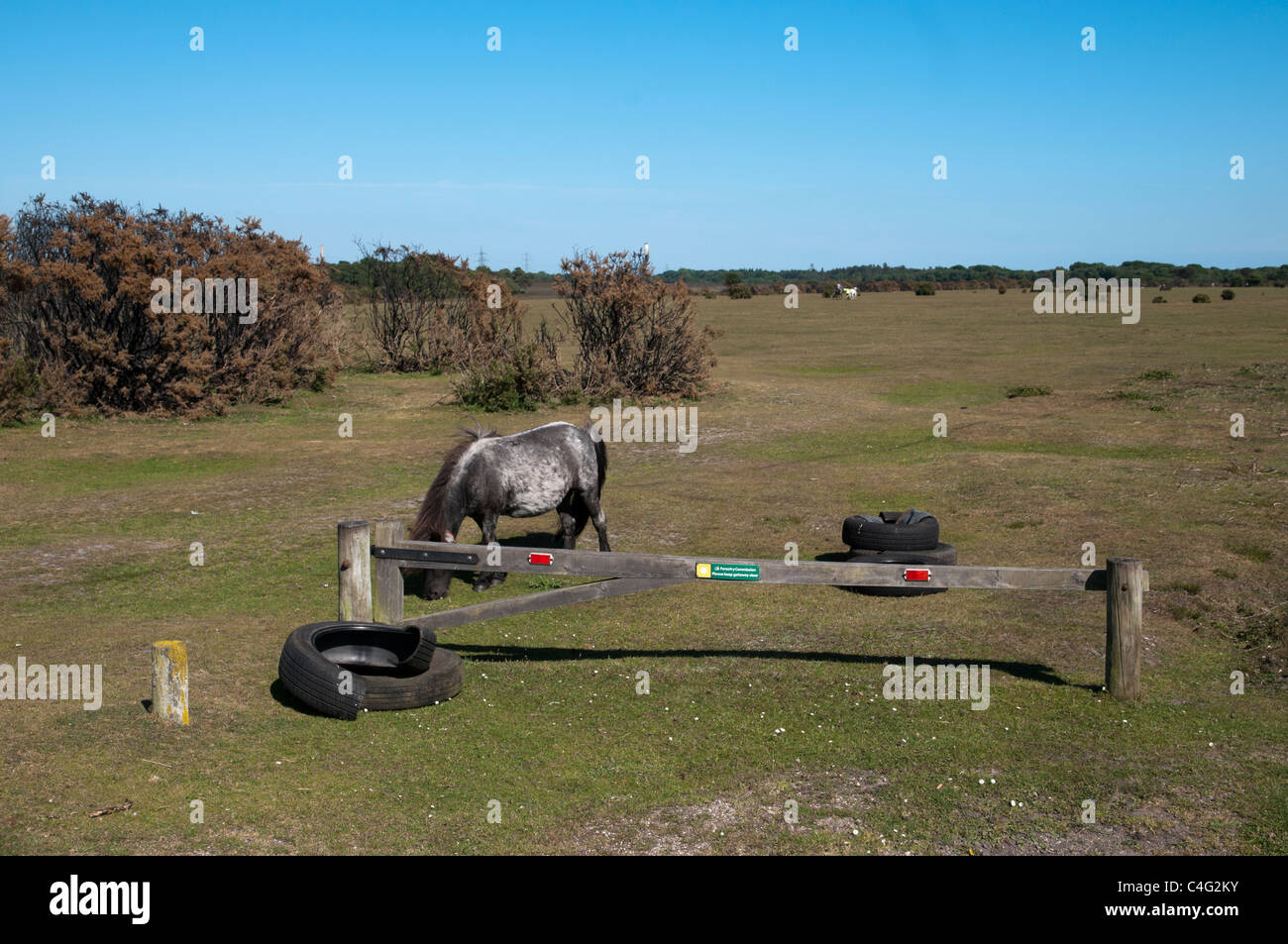 Fly Tipping in the New Forest Stock Photo