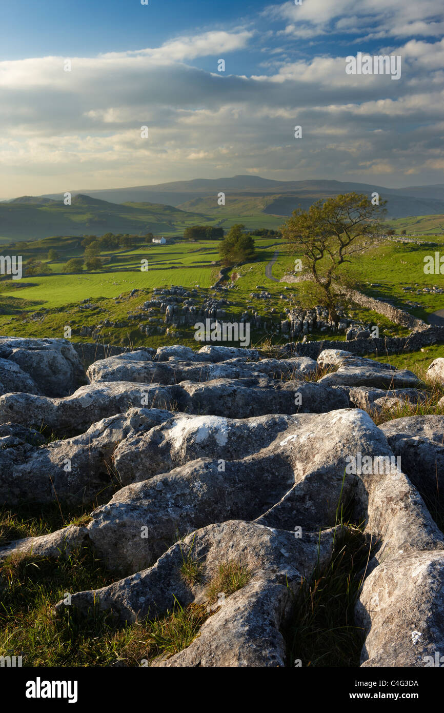 Winskill Stones, Ribblesdale, Yorkshire Dales National Park, England, UK Stock Photo