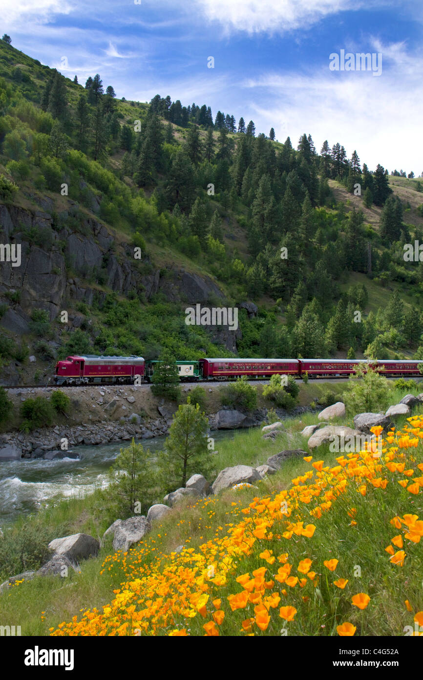 The Thunder Mountain Line scenic tourist train traveling along the