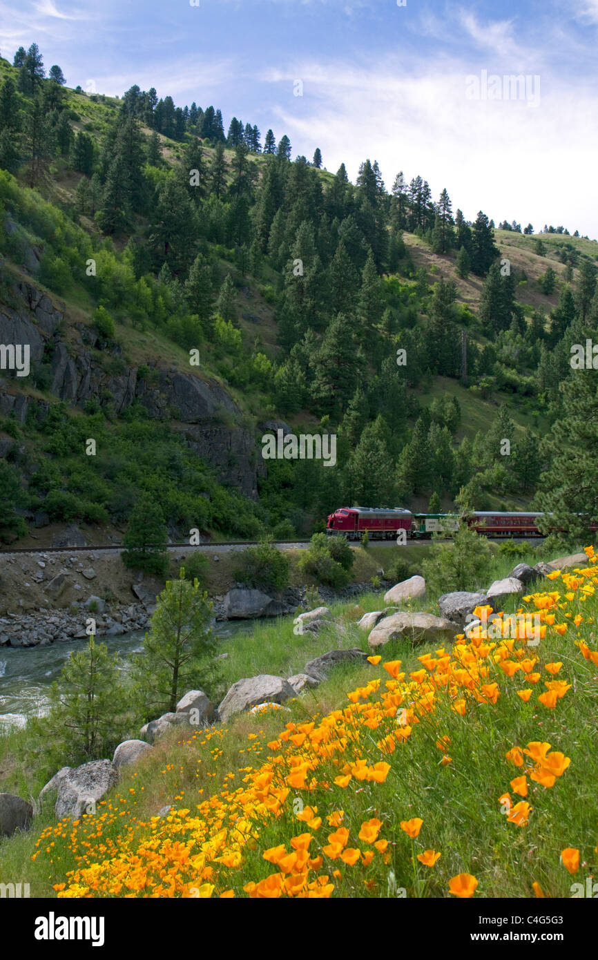 The Thunder Mountain Line scenic tourist train traveling along the Payette River between Horseshoe Bend and Banks, Idaho, USA. Stock Photo