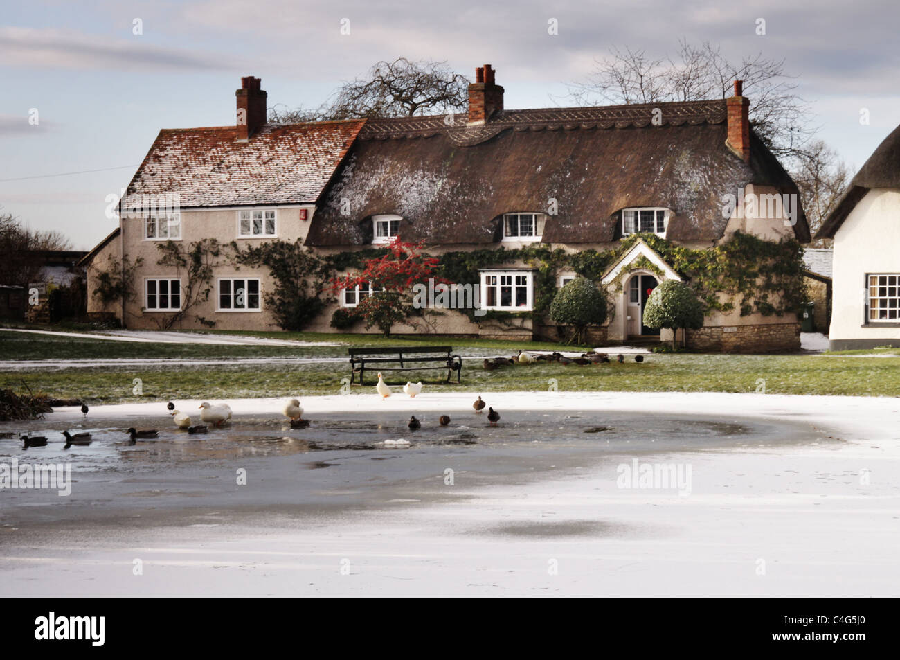 frozen pond in Haddenham village Stock Photo