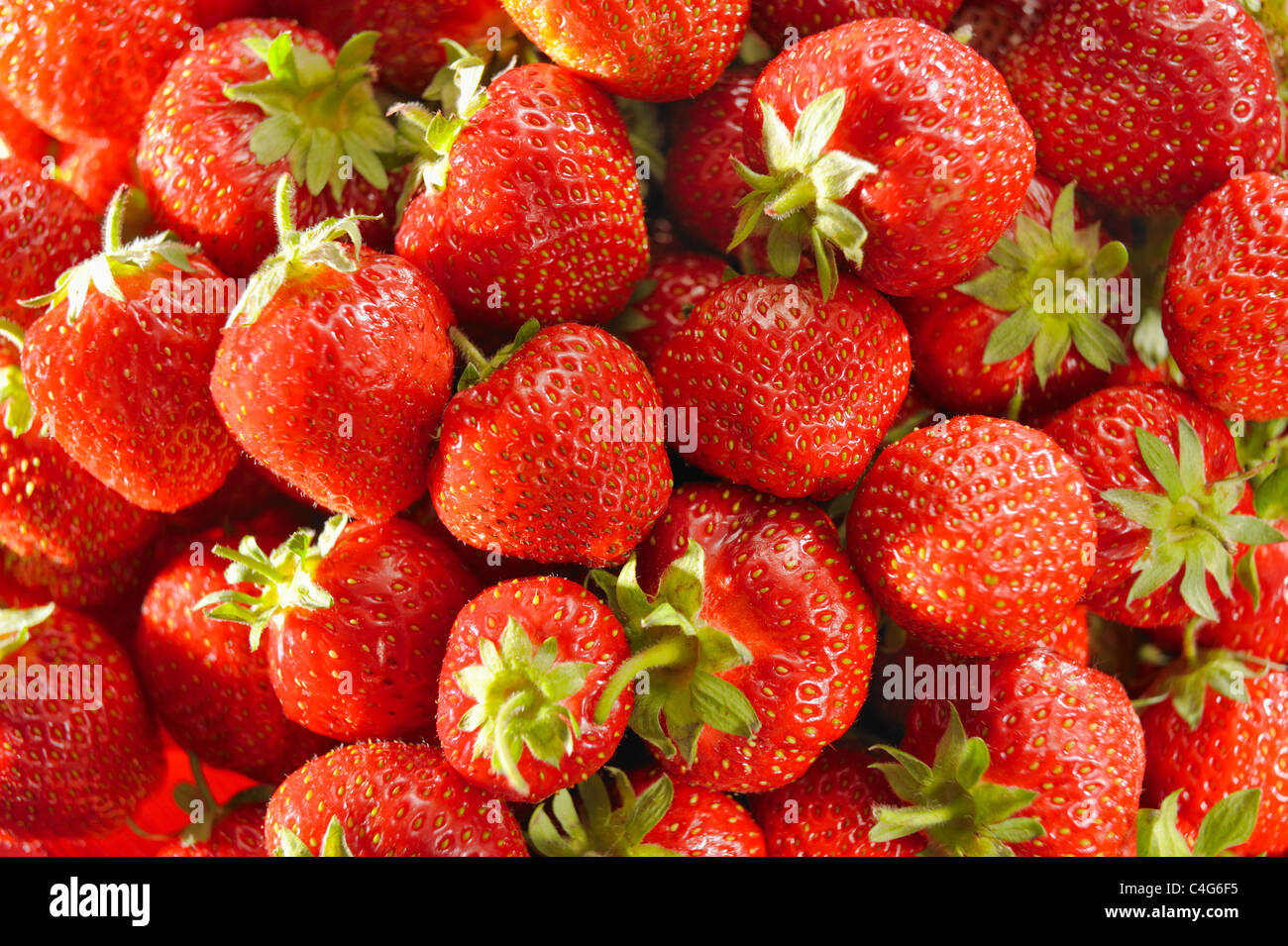 Beautiful juicy fresh red hi-res stock photography and images - Alamy