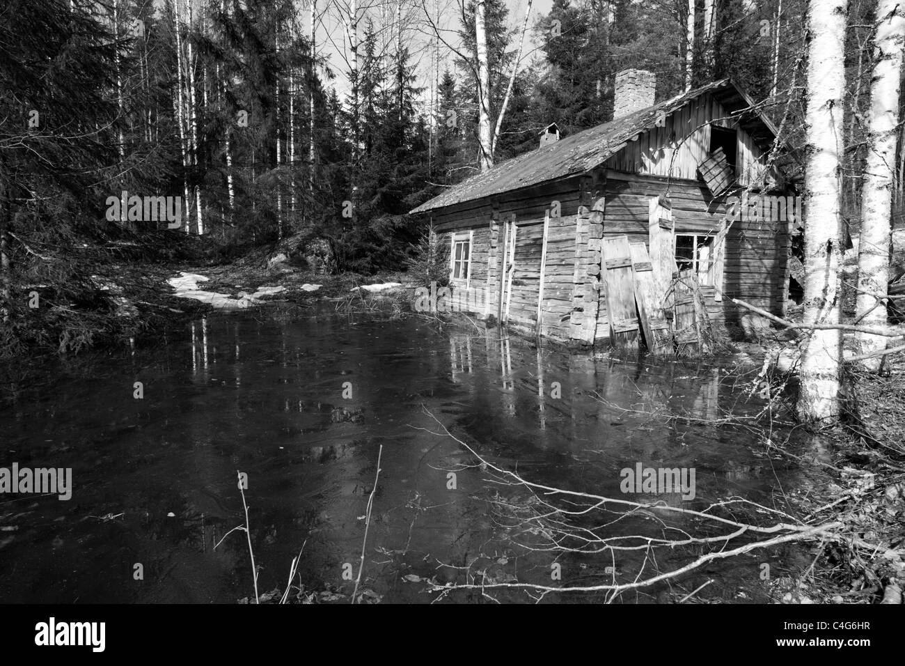 Old decaying wooden sauna made of logs flooded at Springtime , Finland Stock Photo