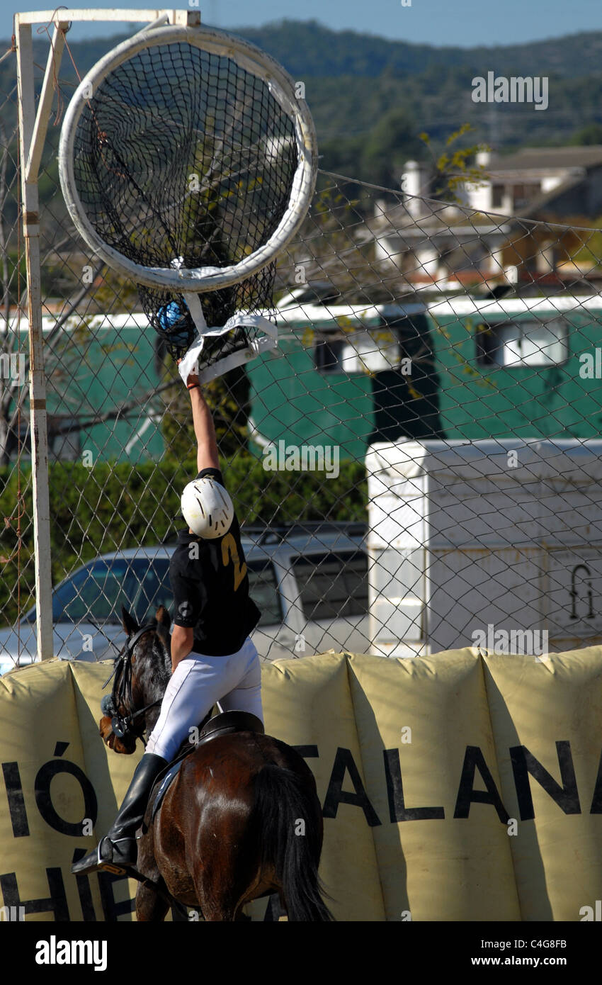 Ball caughtup in the net in a horse ball game played in Catalonia, Spain Stock Photo Alamy
