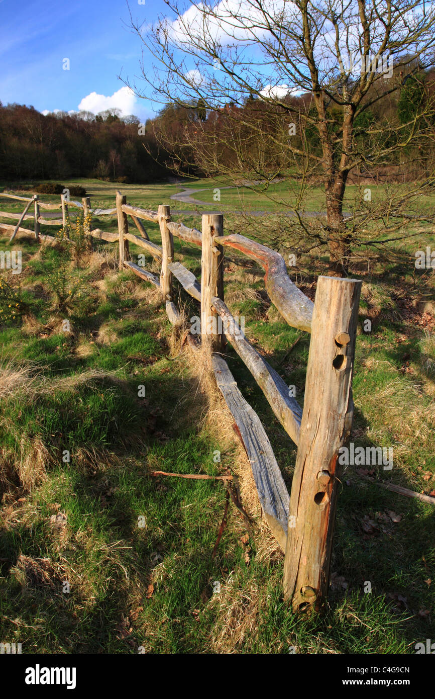 Habberley Valley Nature Reserve, Kidderminster, Worcestershire, England, Europe Stock Photo Alamy