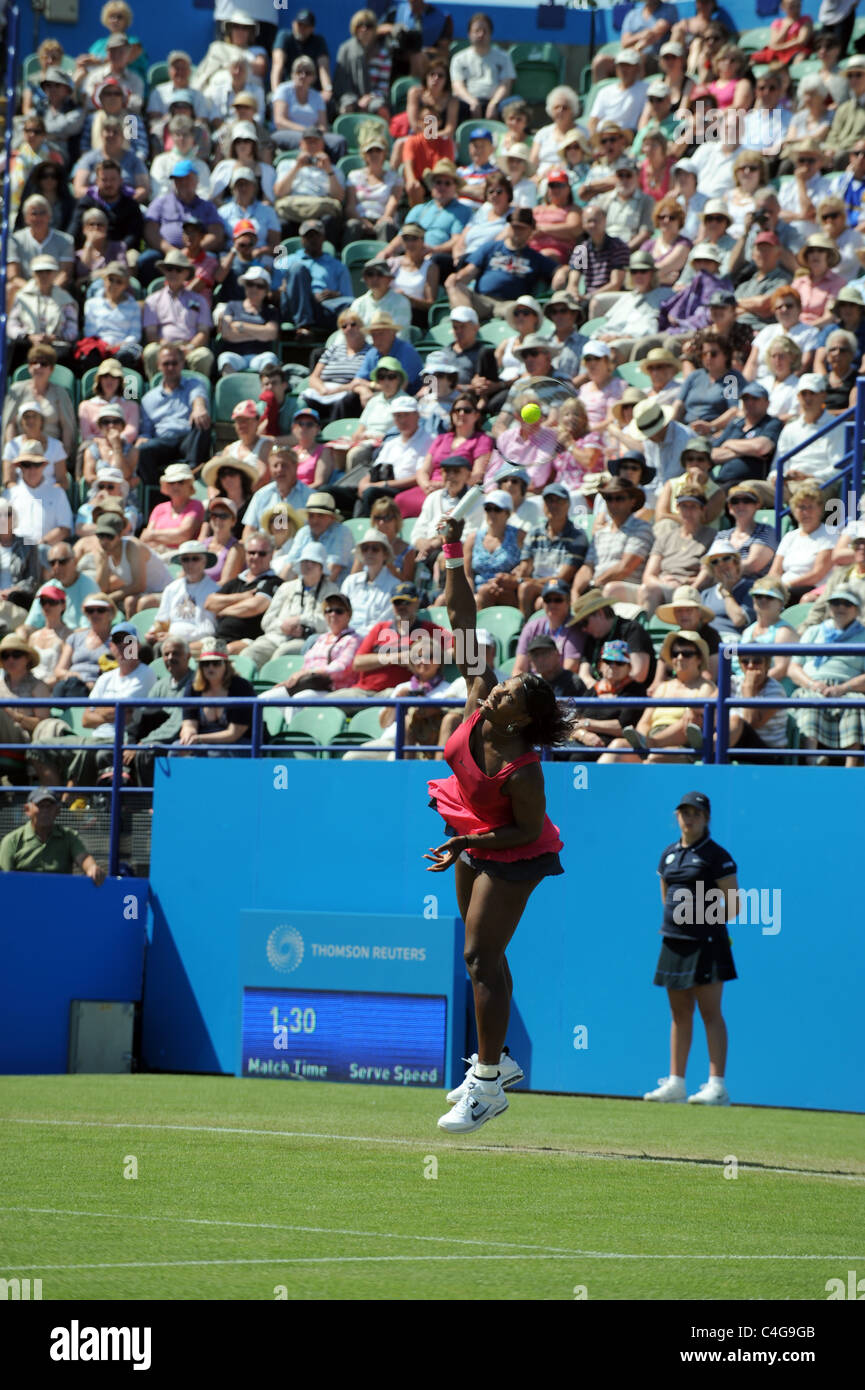American tennis player Serena Williams serves the ball at the Aegon International tennis championships at Eastbourne Stock Photo