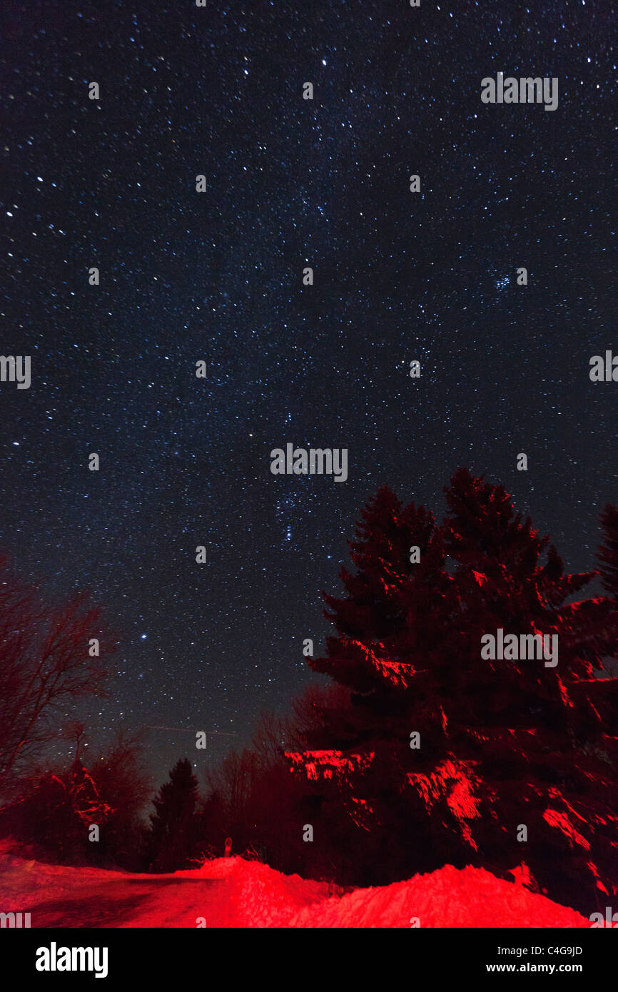 Star covered winter sky, Hohen Meissner National Park, North Hessen, Germany Stock Photo