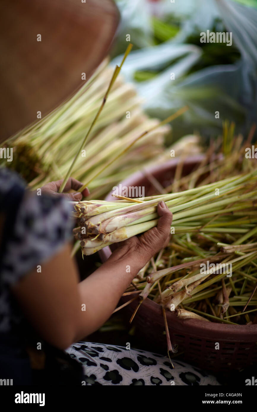a woman selling lemongrass in the market in My Tho, Mekong Delta, Vietnam Stock Photo