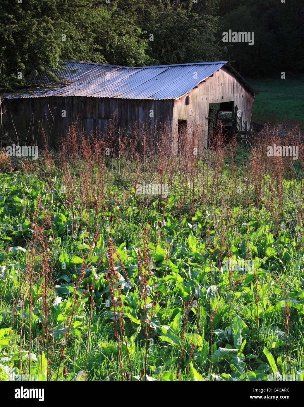 Back Country Barn, Bewdley, Worcestershire, England, Europe Stock Photo