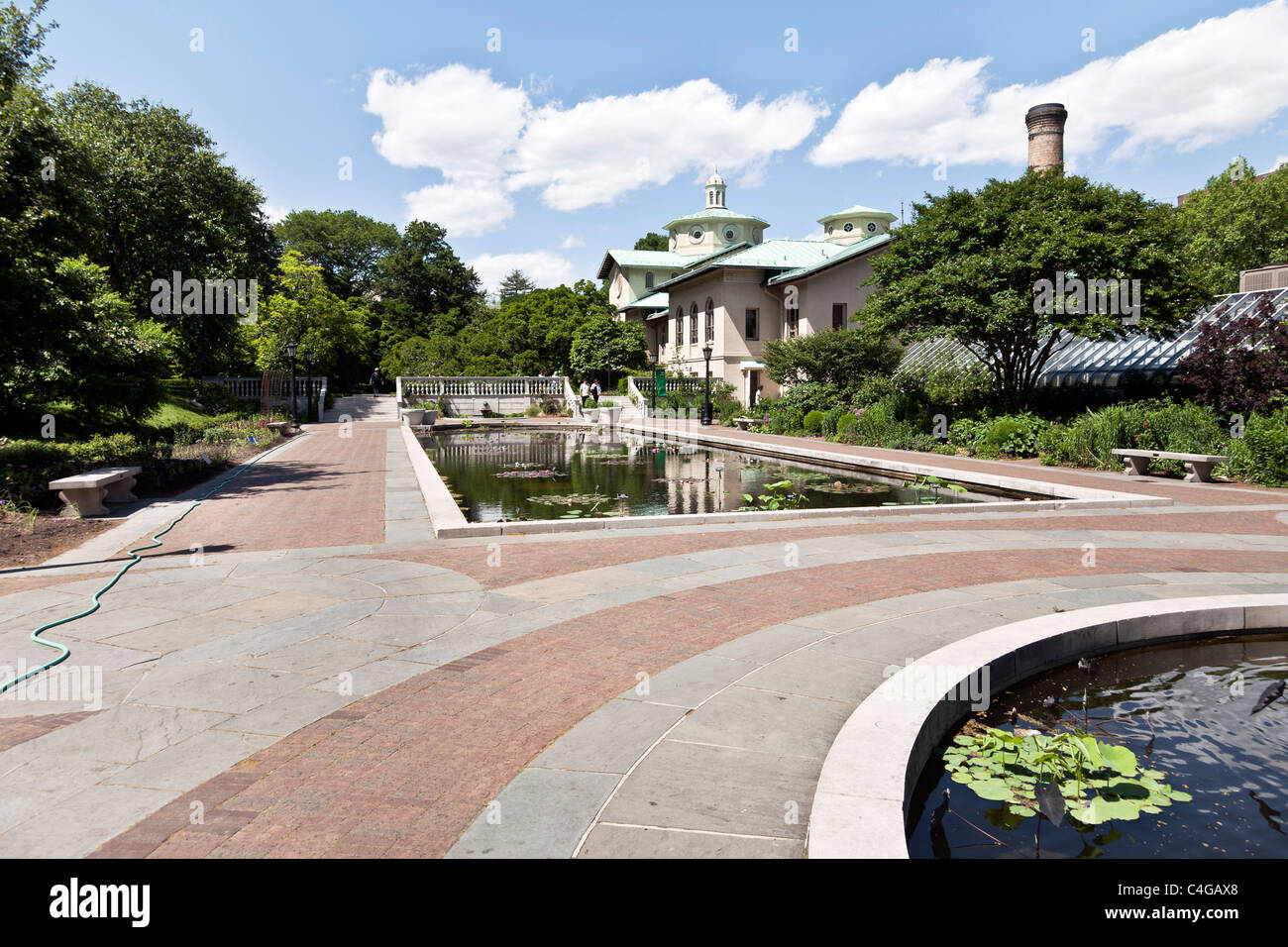 Lily ponds hires stock photography and images Alamy
