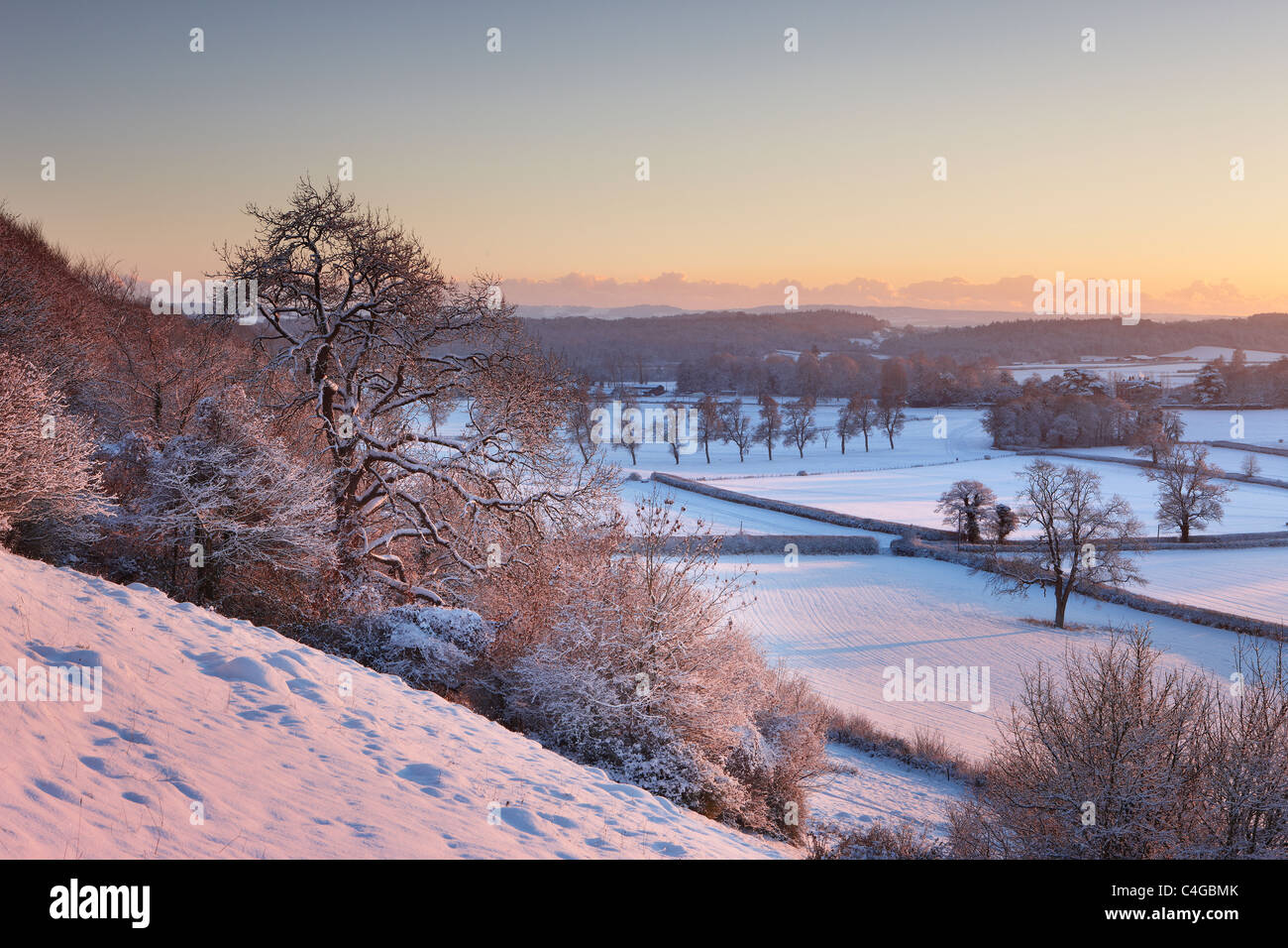 frost and snow on the trees on East Hill overlooking Venn House nr Milborne Port, Somerset, England Stock Photo