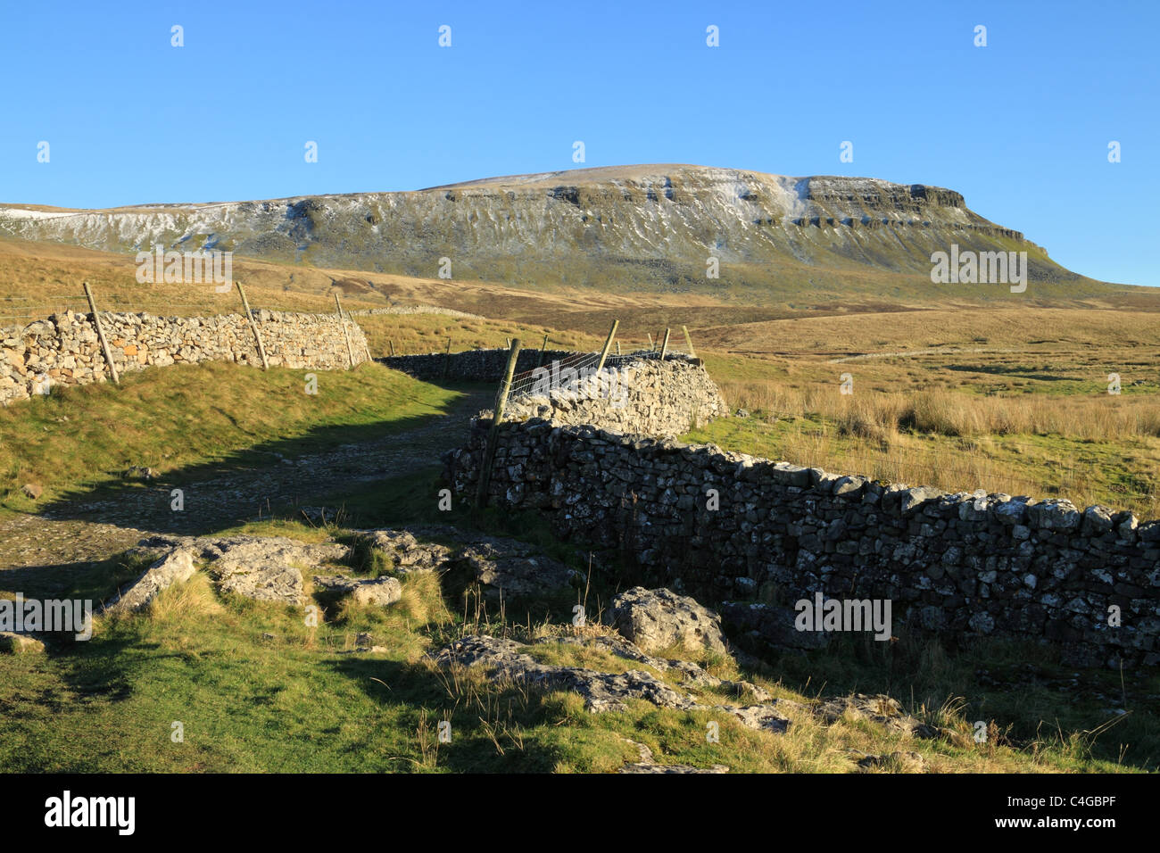 A view of the summit of Pen-y-ghent, one of the Three Peaks, a mountain in the Yorkshire Dales national park Stock Photo