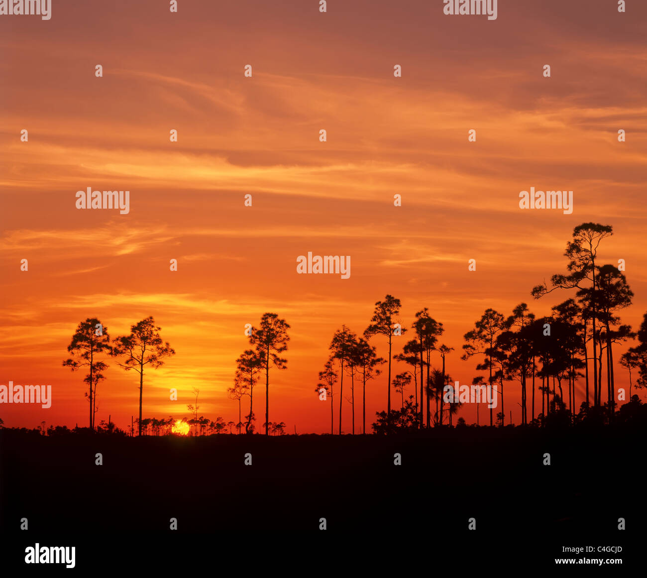 Sunset in the Everglades National Park in Florida Stock Photo