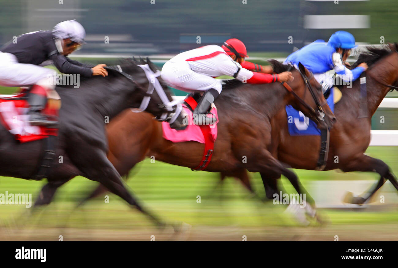 Storming Down the Homestretch Stock Photo