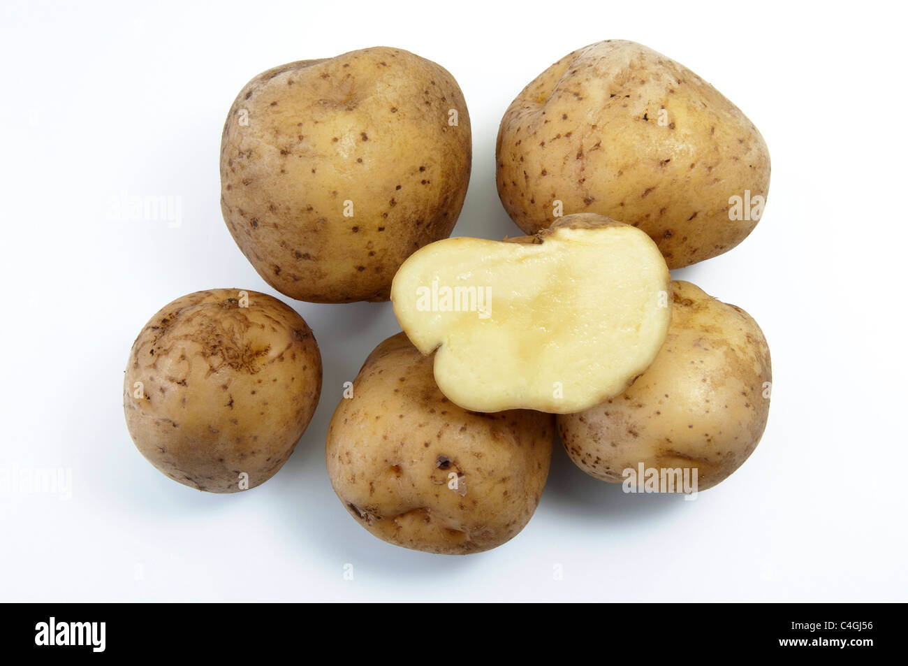Potato (Solanum tuberosum La Bonnotte). Tubers, studio picture against a white background Stock