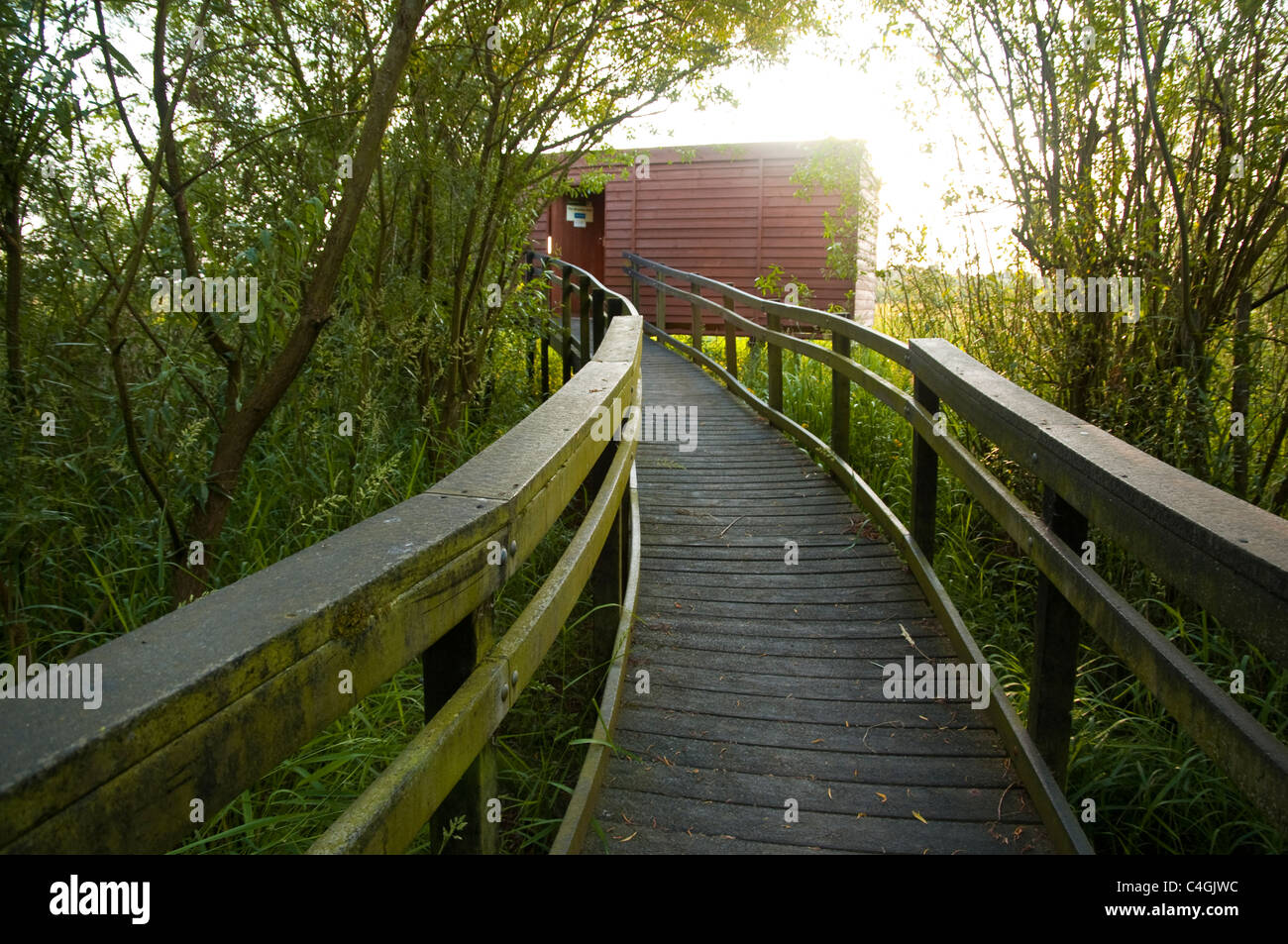Walkway over Osier beds leading to a bird hide at a wildlife nature