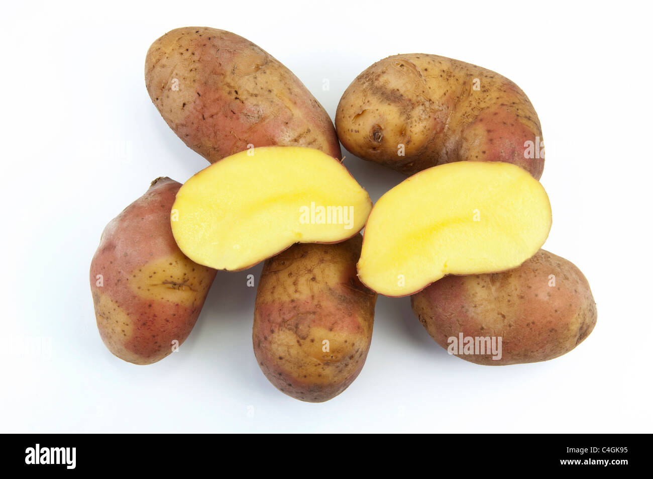Andean Potato, Mayan Twilight Potatoe (Solanum phureja Mayan Gold). Tubers, studio picture against a white background. Stock Photo