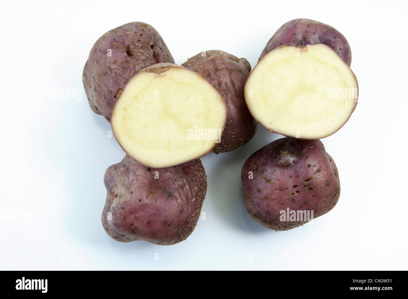 Potato (Solanum tuberosum Skerry Blue). Tubers, studio picture against a white background. Stock Photo