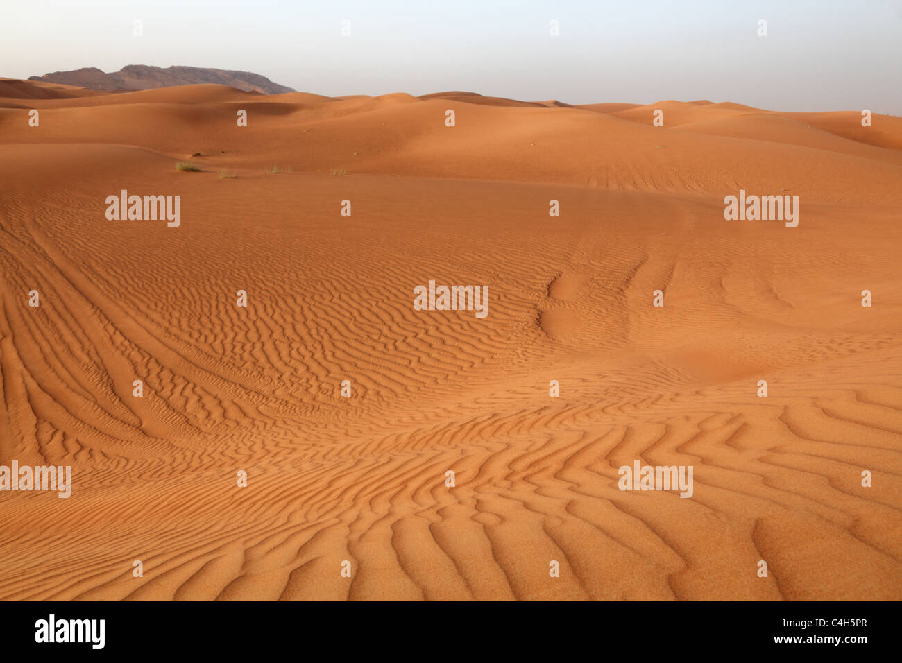 Desert Dunes Near Dubai United Arab Emirates Stock Photo Alamy Desert Dunes Near Dubai United Arab Emirates Stock Photo Alamy