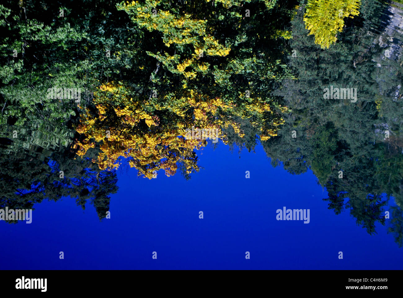 Mountain lake shore hillside forest hi-res stock photography and images ...