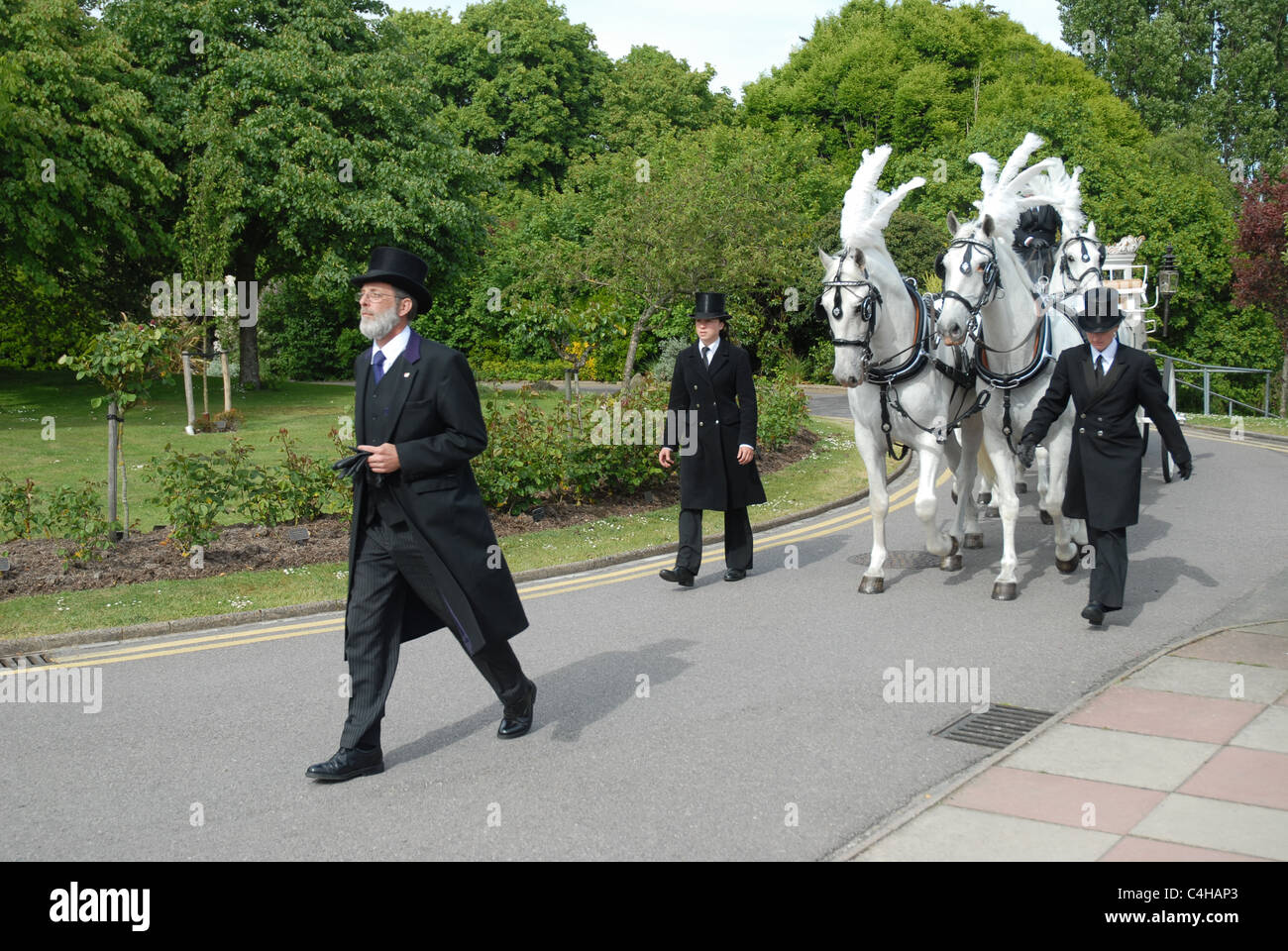 Funeral hearse and horses, Eastbourne, Sussex, GB Stock Photo Alamy