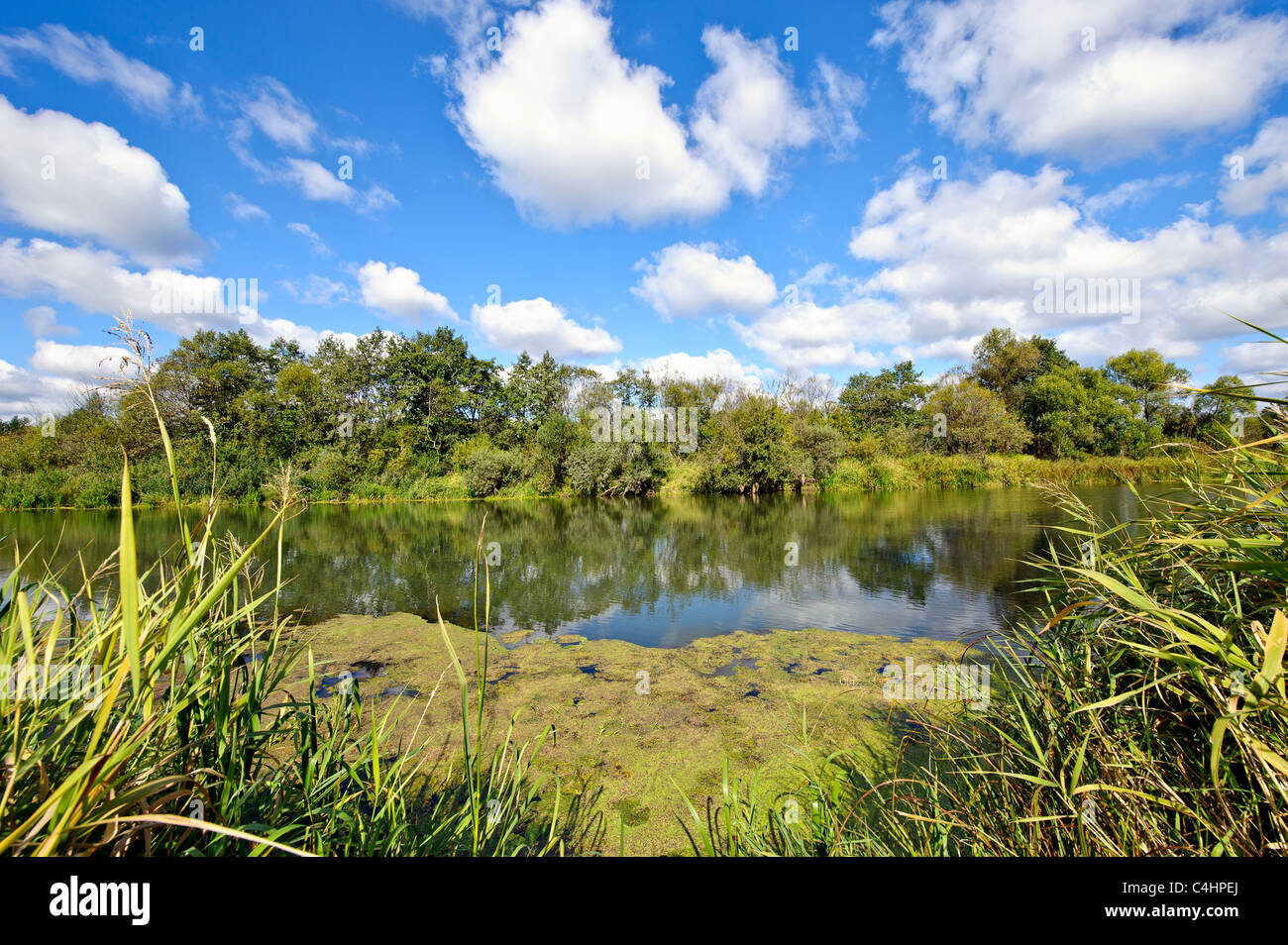 Summer landscape with river and cloudy sky Stock Photo - Alamy