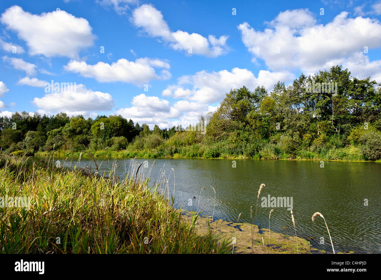 Summer landscape with river and cloudy sky Stock Photo - Alamy