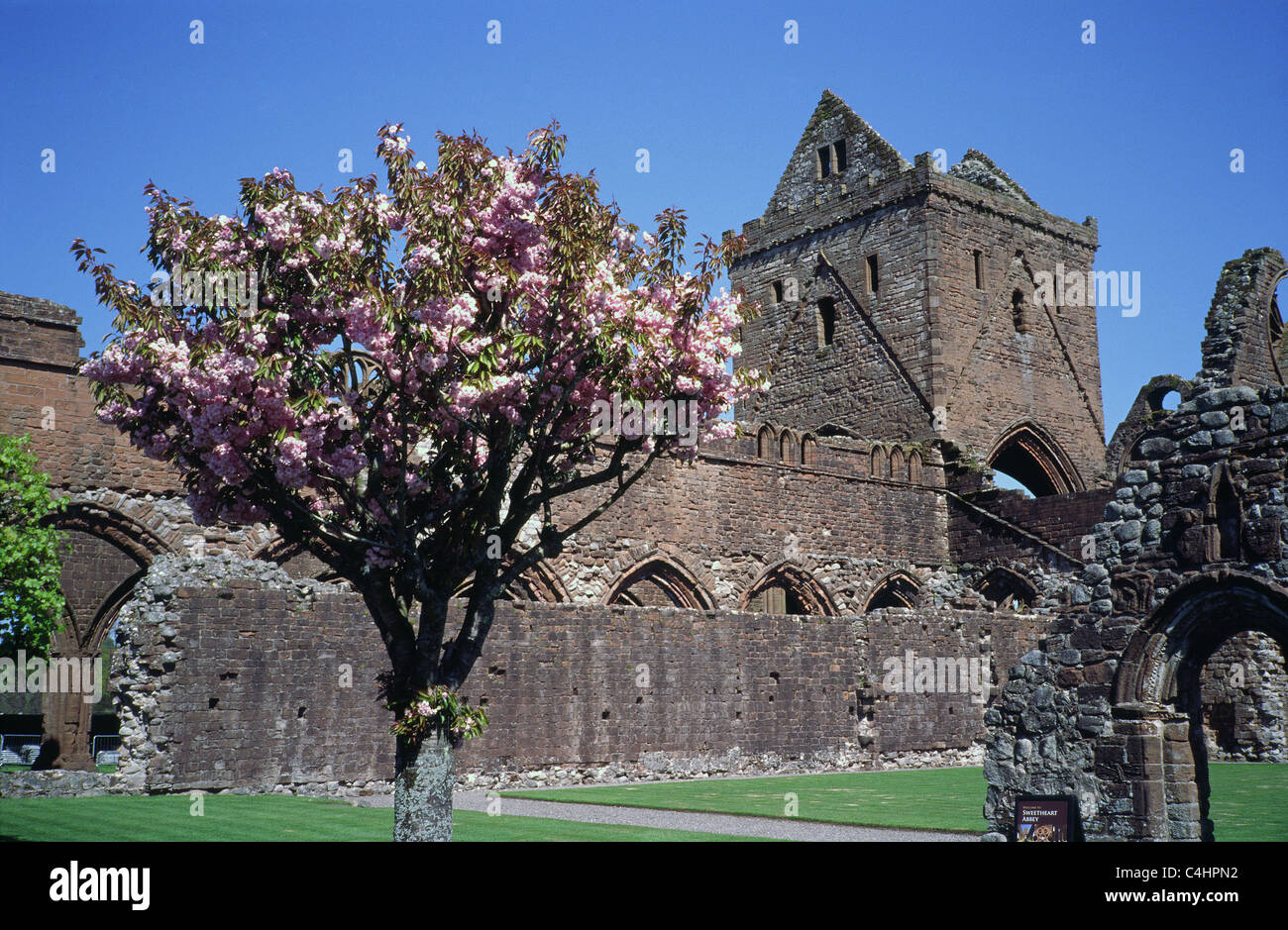 Sweetheart Abbey, New Abbey, Dumfries & Galloway, Scotland, UK in