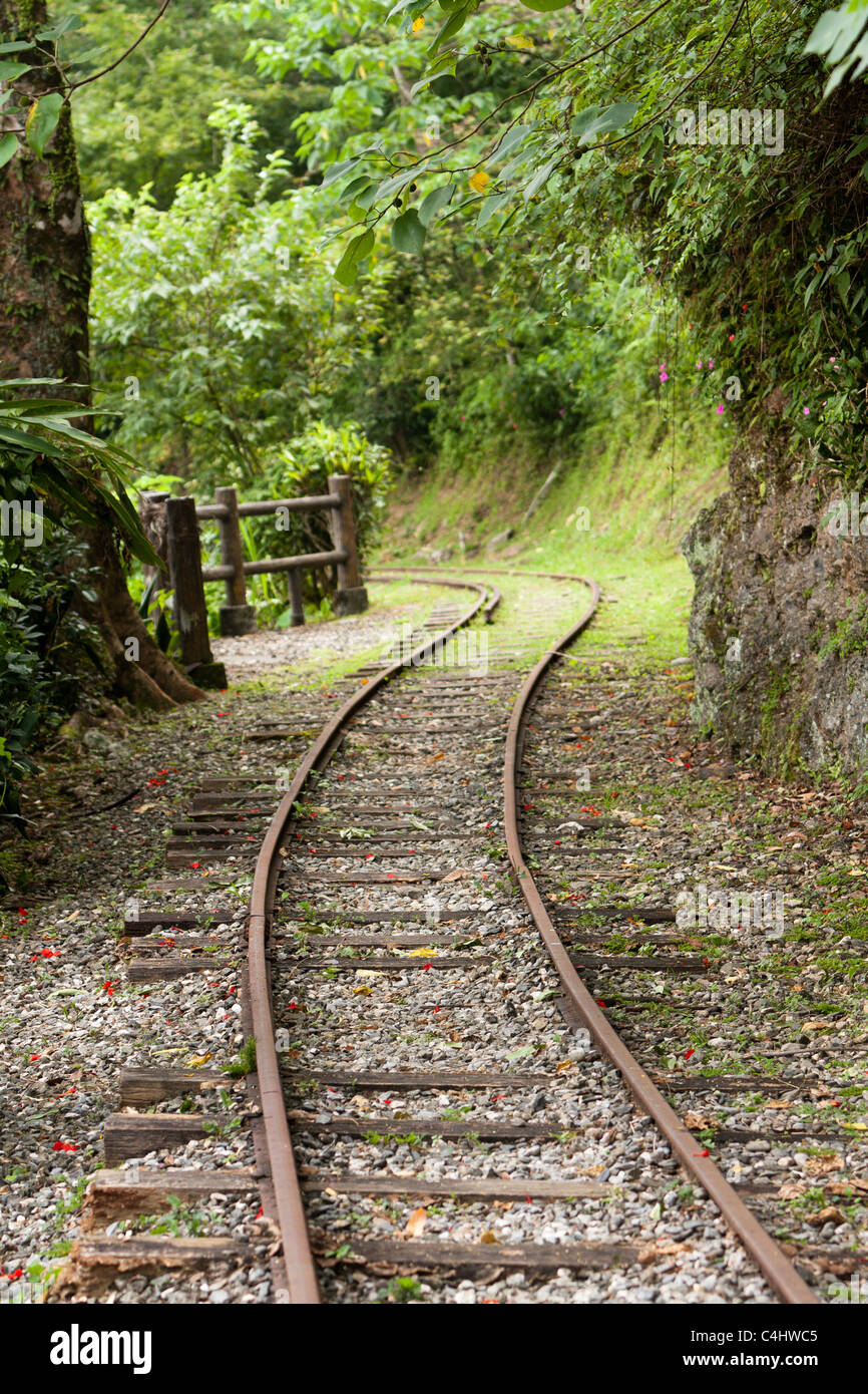 Old train tracks, empty forest railway, forest tram, timber line, logging railway or logging railroad track, wandering through forest, Hualien, Taiwan Stock Photo