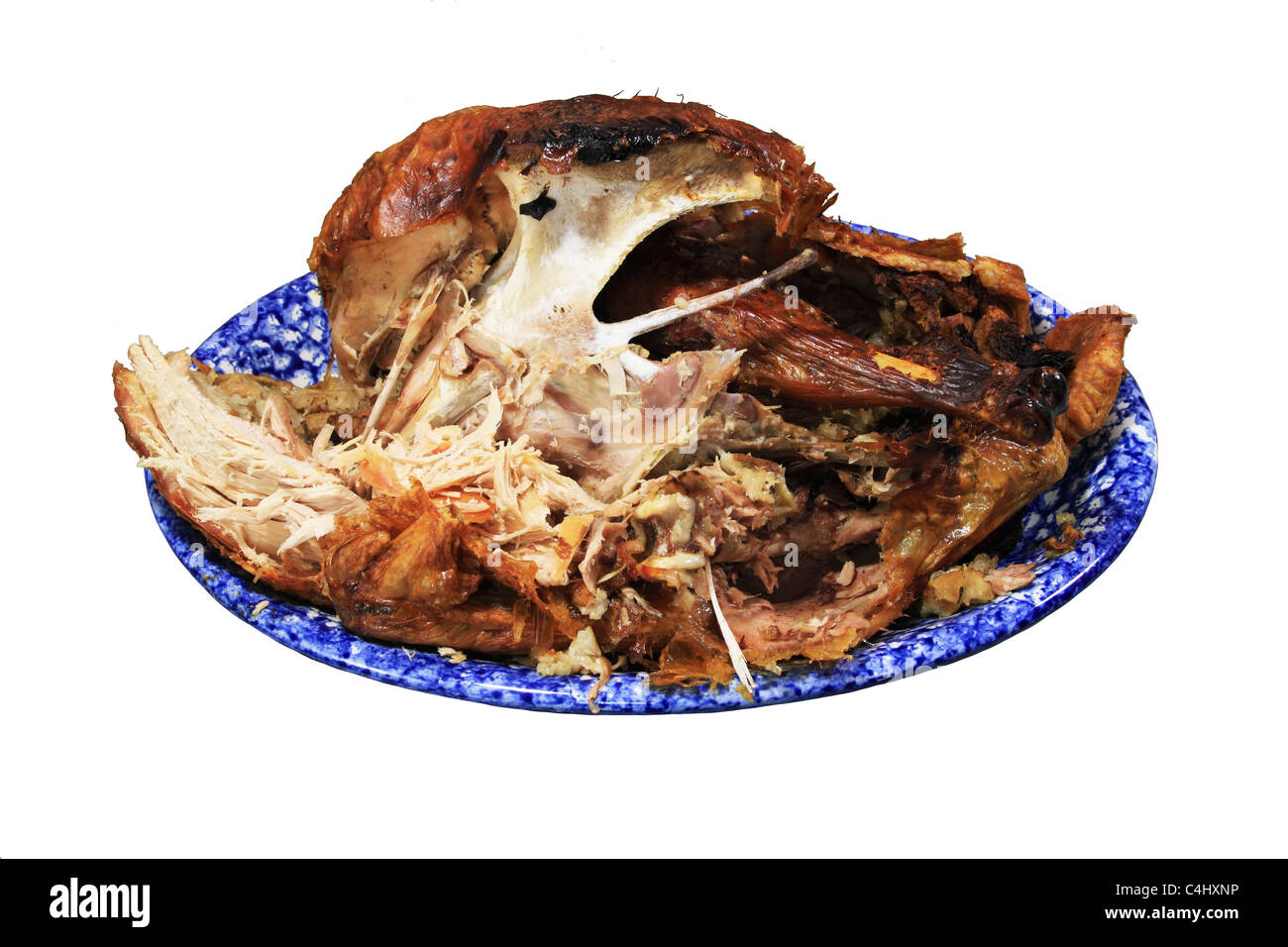 half eaten turkey carcass on a blue platter isolated on white background Stock Photo