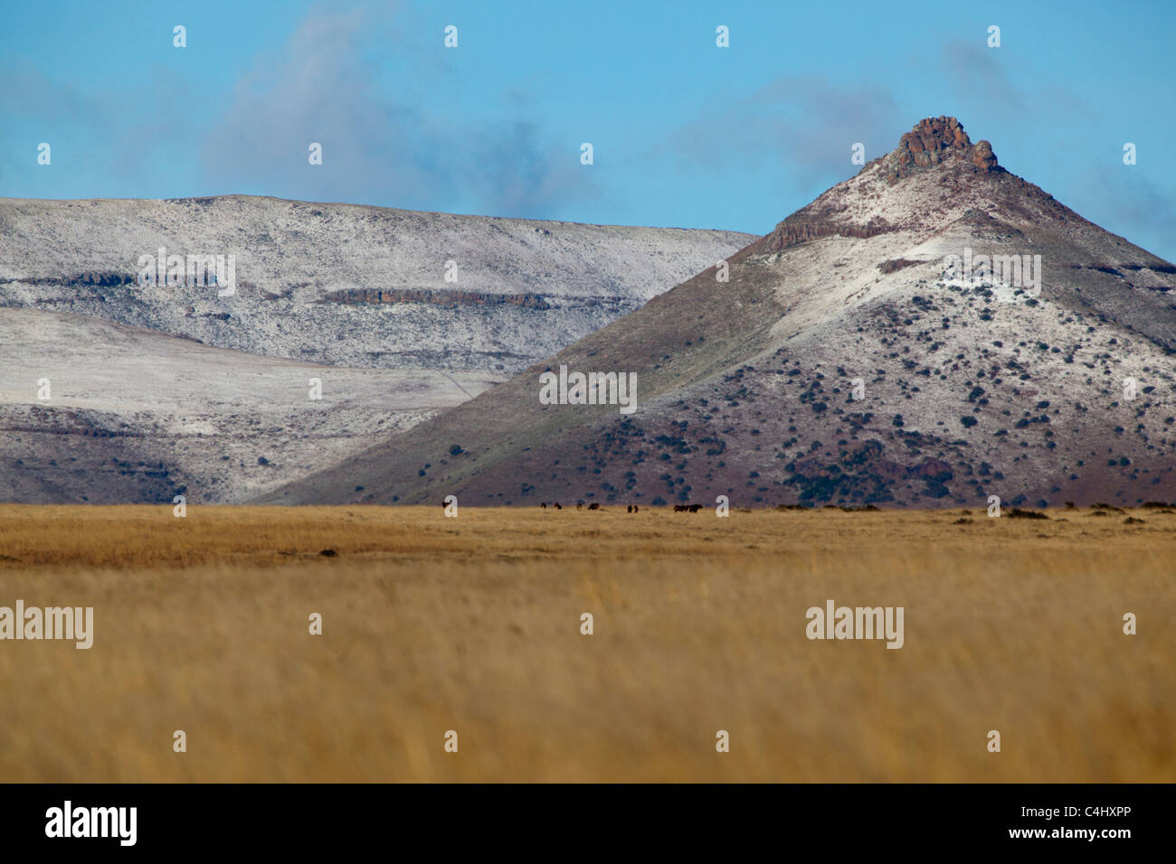 Snow Capped Mountain in Mountain Zebra National Park, South Africa Stock Photo