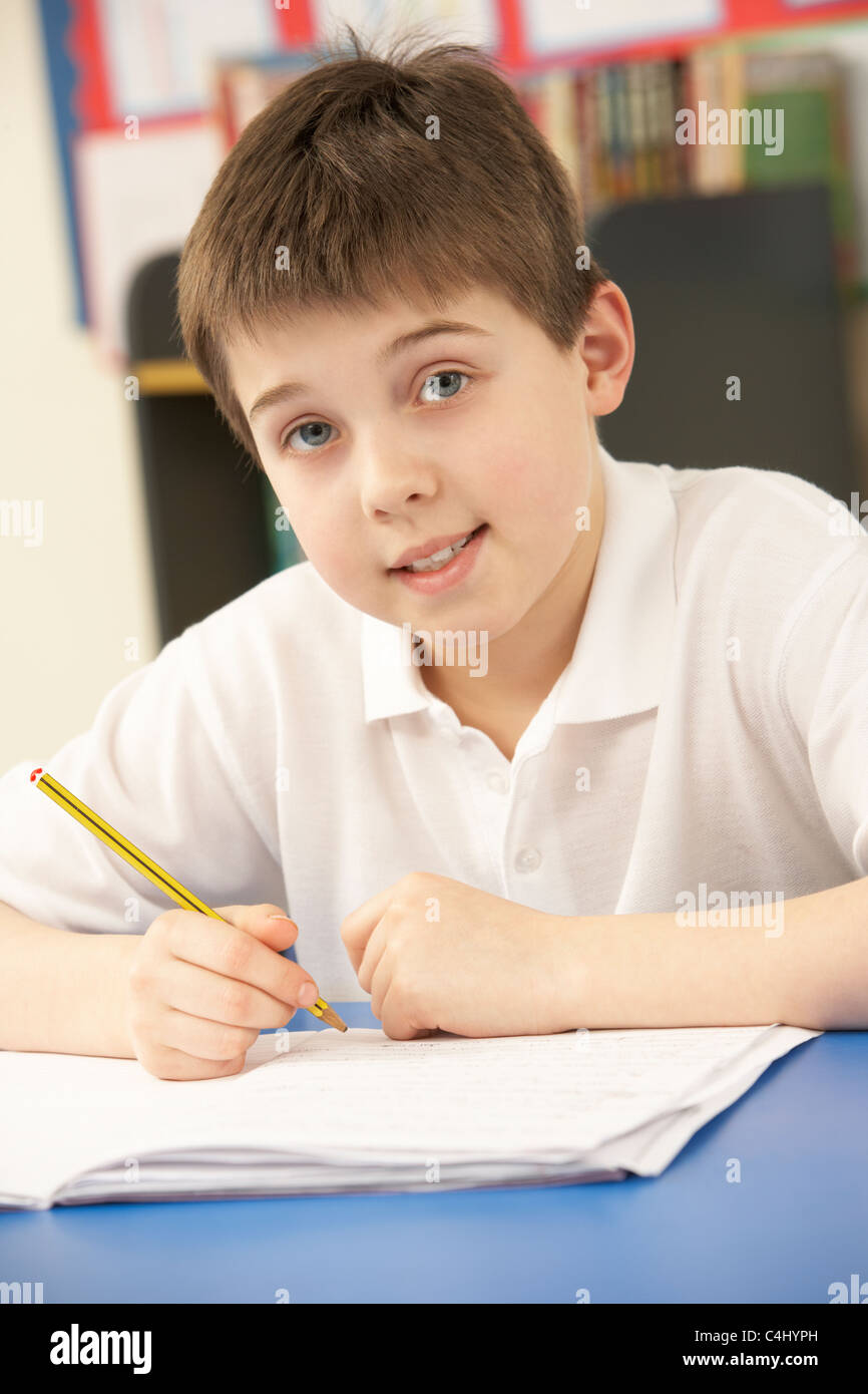 Schoolboy In IT Class Using Computer Stock Photo