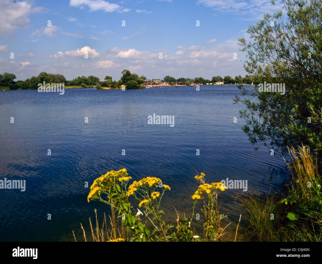 A lake at the Cotswold Water Park near Cirencester, Gloucestershire, UK Stock Photo Alamy