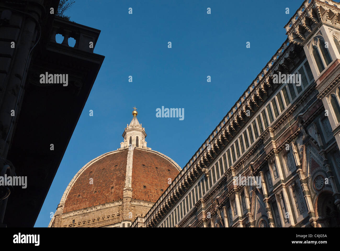 A detail looking up at the dome of the Basilica di Santa Maria del ...